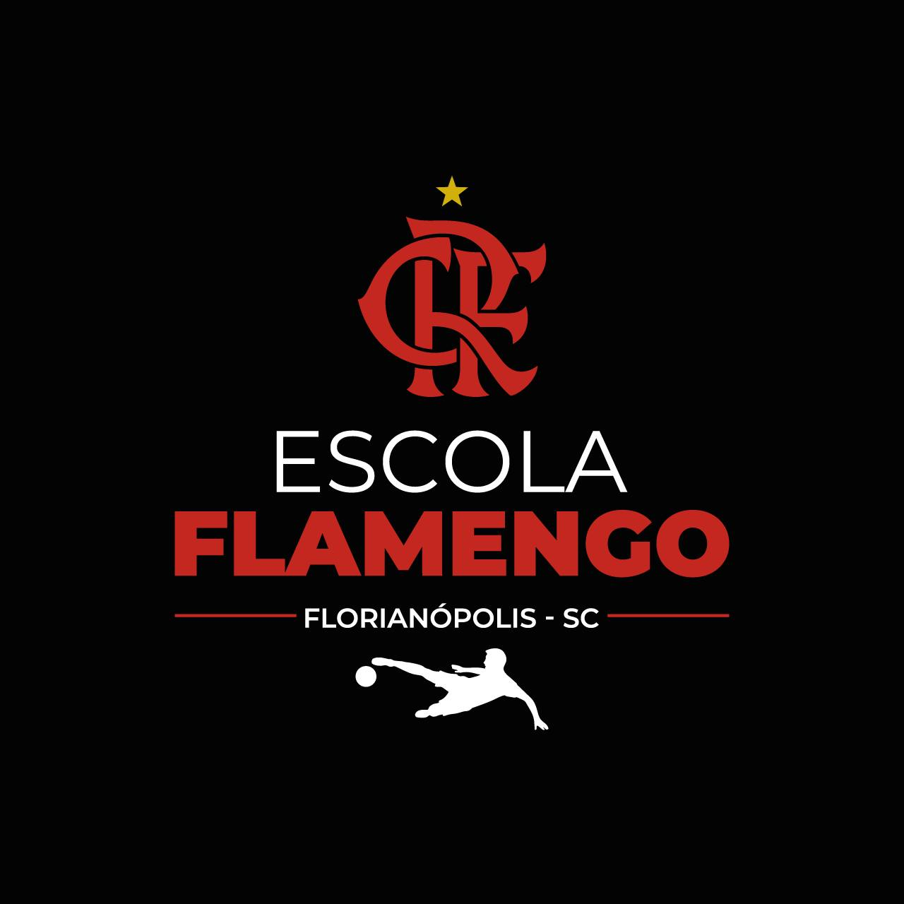 Imagem da escola participante Flamengo Florianopolis